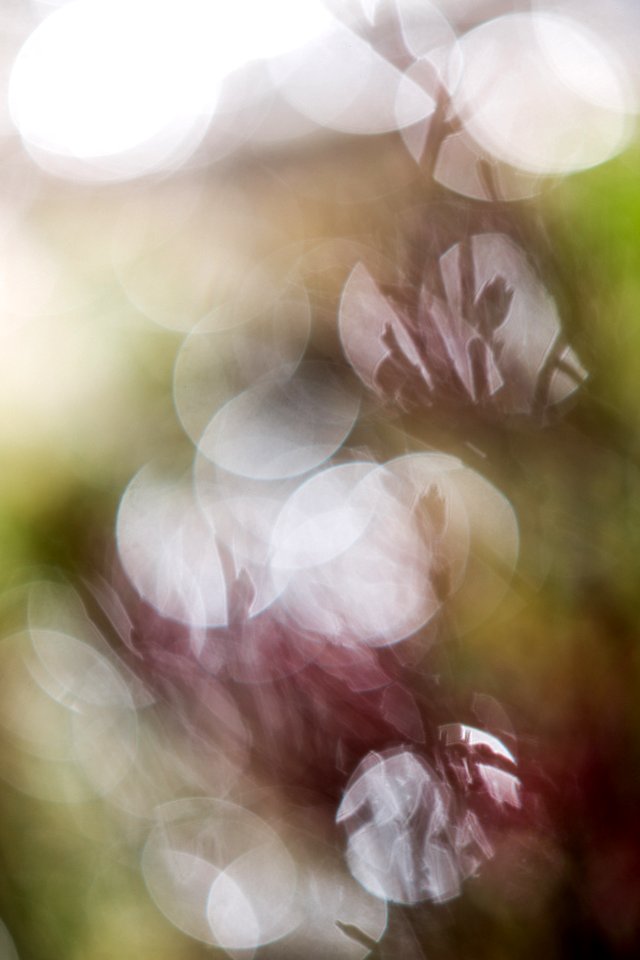 Snow Hike Abstract