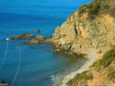 Marina di Salivoli
