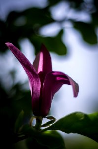21042019-IMGP4105