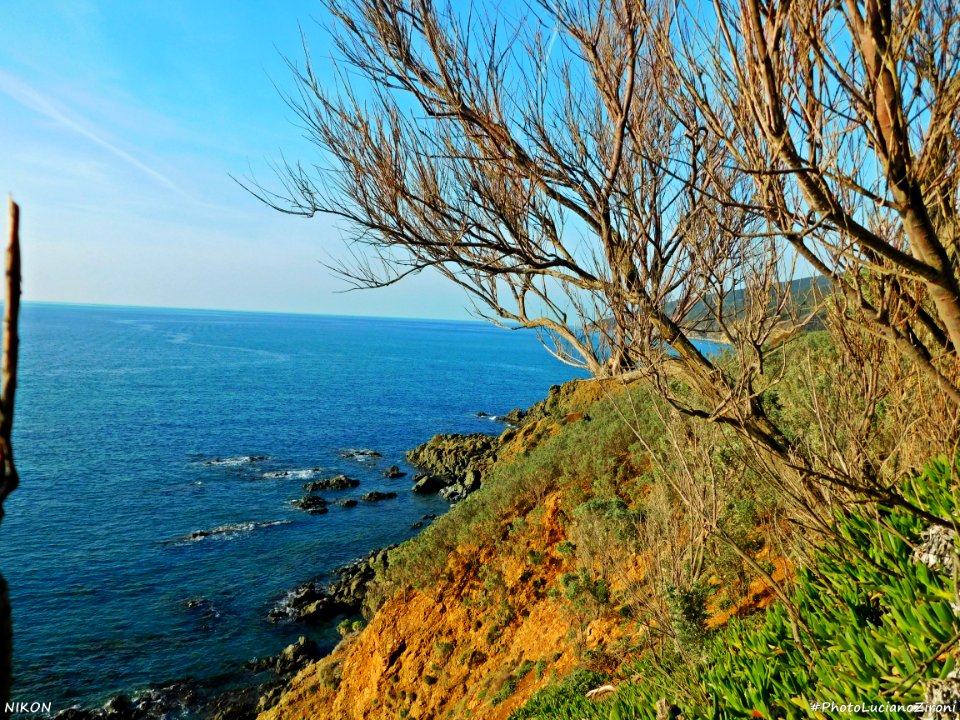 Marina di Salivoli