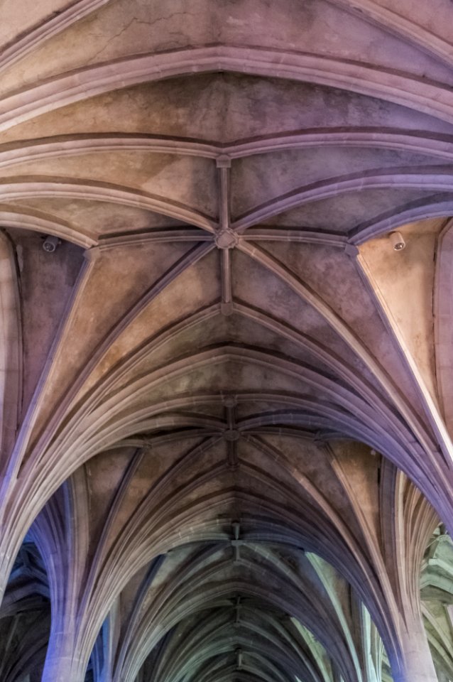 12082018-IMGP3991