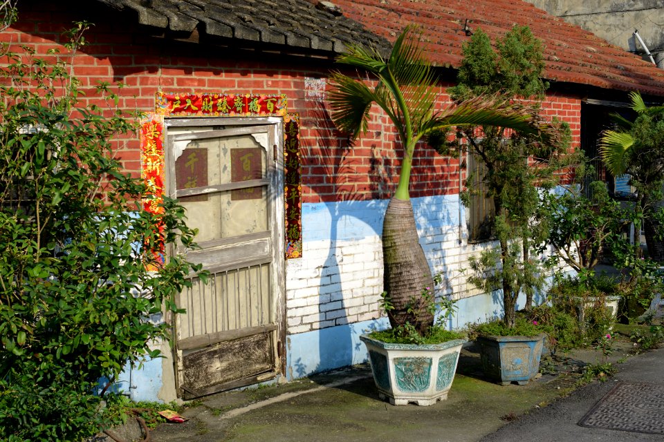 DSC 7366