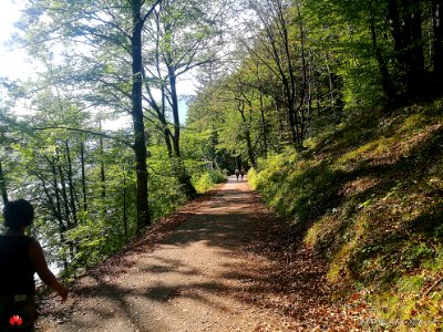 Lago Bohinj (slo)