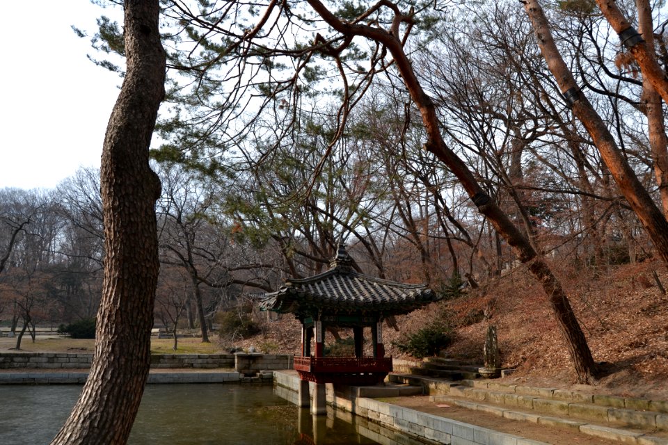 seoul flickr (40)
