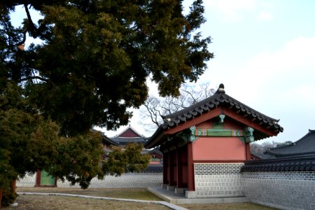 seoul flickr (56)