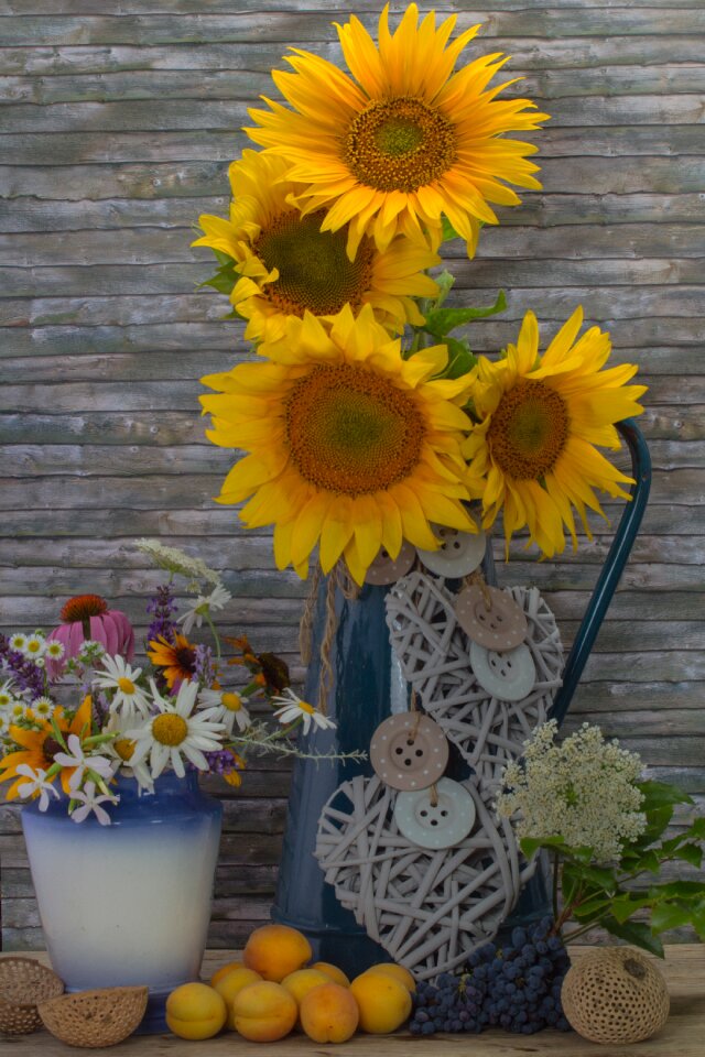 Apricots deco yellow