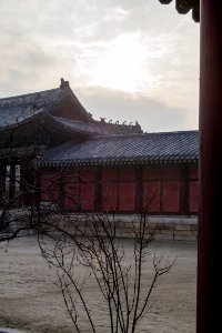 seoul flickr (78)