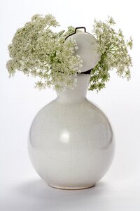 Flowers wild flower vase