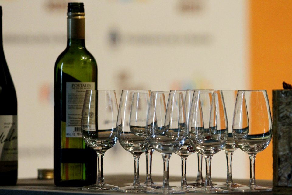 Vinos de la Patagonia