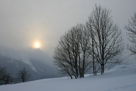 Cold snow fog