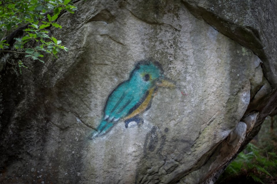 Fontainebleau - 2018/06/16