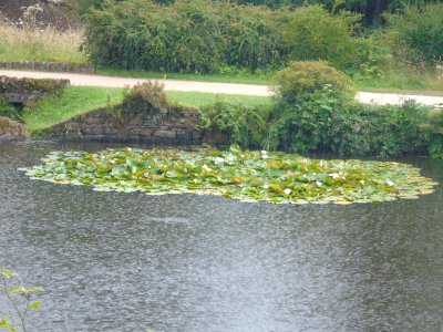 DSC00709