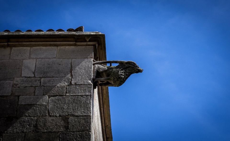 12082018-IMGP3928