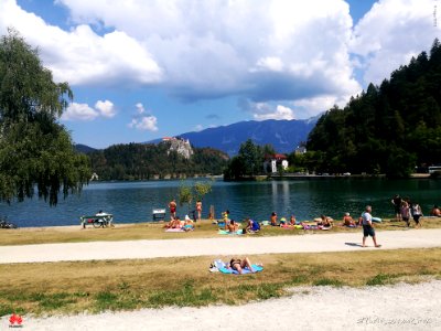 Lago di Bled photo