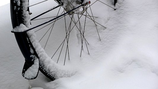 2010.12 - 'Photo of a Dutch winter still-life in snow outdoors, a bicycle wheel in the snow, Amsterdam city; Dutch urban photography in the public domain by Fons Heijnsbroek; The Netherlands, geotagged photo photo