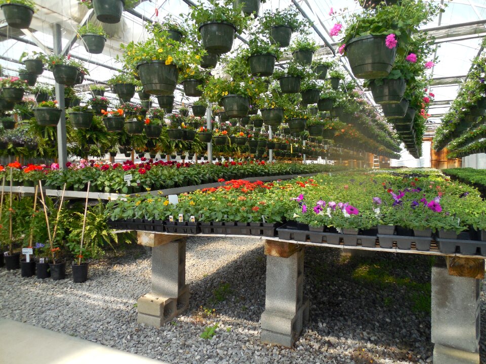 Plant green gardening