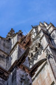 12082018-IMGP3965
