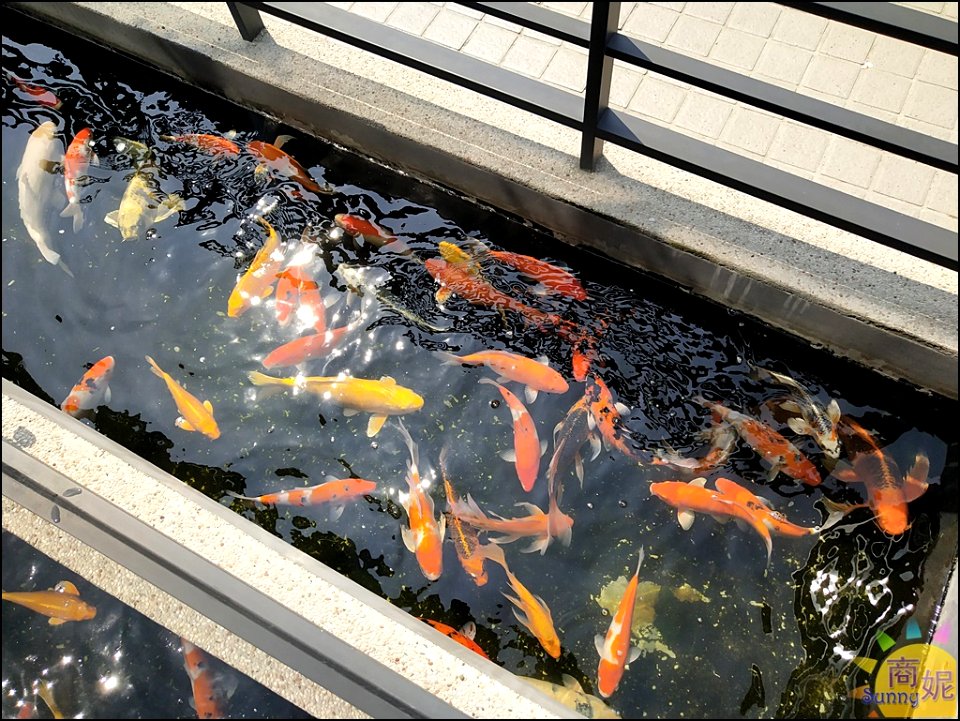 水銡利7 (4)