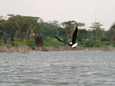 P9220477