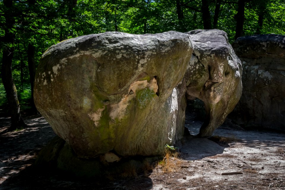Fontainebleau - 2018/06/16