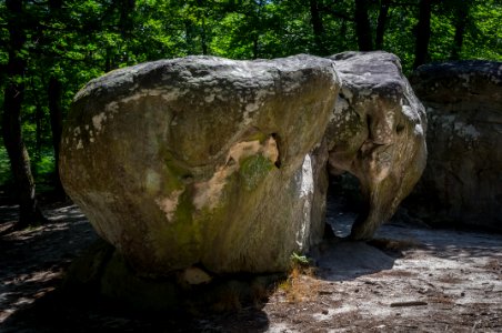 Fontainebleau - 2018/06/16