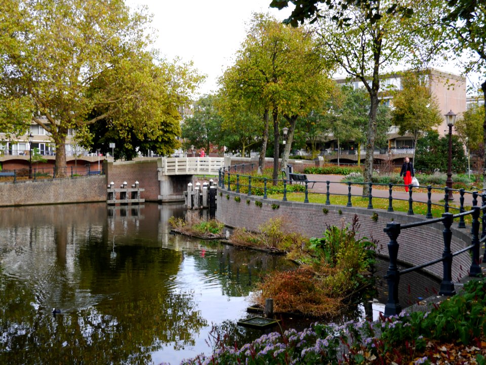 Free photo of Amsterdam: picture of the canal Kattenburgervaart with autumn trees, october 2018