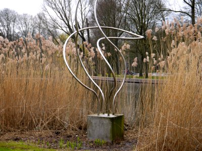 2016.04 - Amsterdam photo of Nature and Art, a reed bush in the park and a reflecting wire sculpture of Jan Wokers, location Oosterpark; geo-tagged free urban picture, in public domain / Commons; Dutch photography, Fons Heijnsbroek, The Netherlands photo