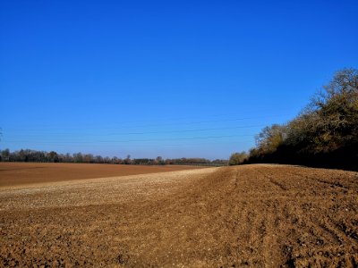 17 c Footpath 727 north to SHLAA 155