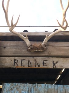 redneck cabin