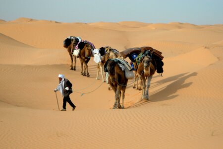 Desert sand sahara photo