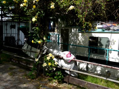 2013.06 - 'Sunlight and shadows on an urban rose garden', near a house-boat in Amsterdam city, urban photography by Fons Heijnsbroek, the Netherlands photo