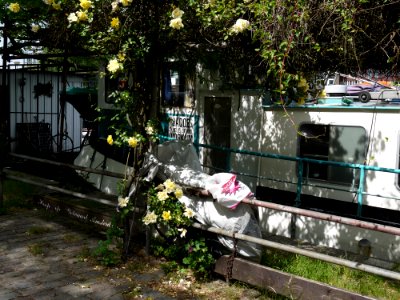 2013.06 - 'Sunlight and shadows on an urban rose garden', near a house-boat in Amsterdam city, urban photography by Fons Heijnsbroek, the Netherlands