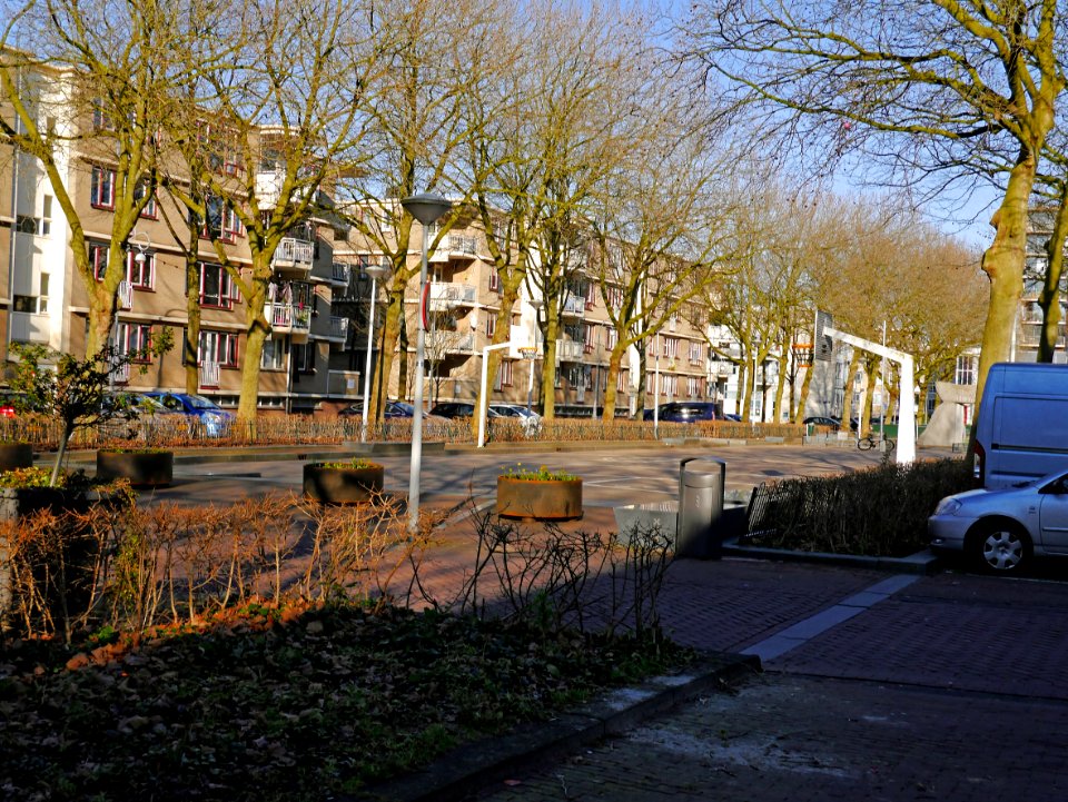 Urban trees in early Spring of Amsterdam city; free photo Amsterdam, Fons Heijnsbroek