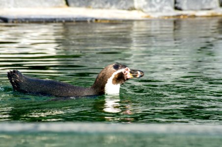 09042017-IMGP2475