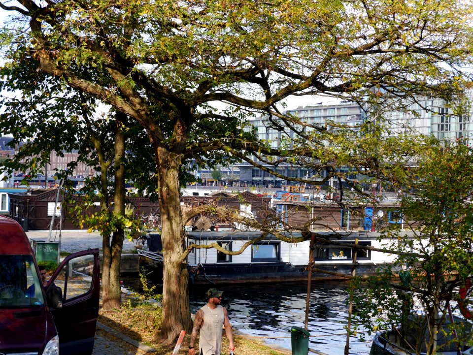 Free photo Amsterdam: picture of a view along the canal Dijkgracht with train track and old house-boats photo