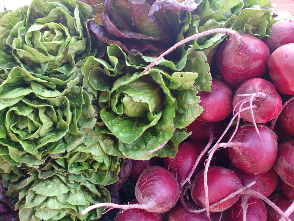 Healthy organic food