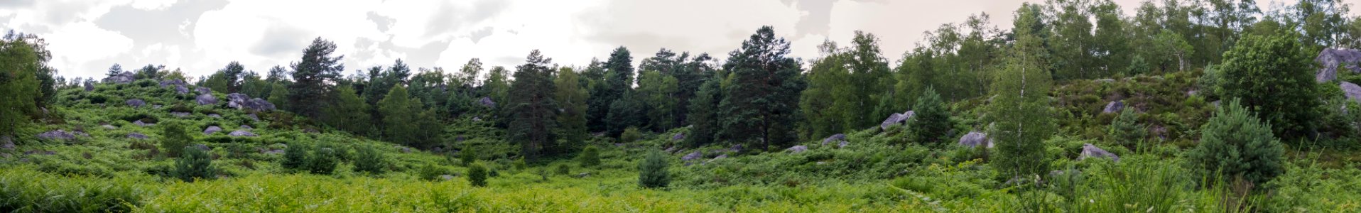 Fontainebleau - 2018/06/16