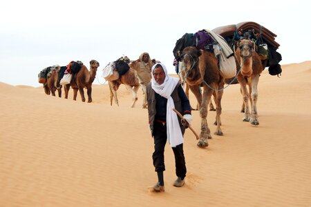 Bedouin desert caravan photo