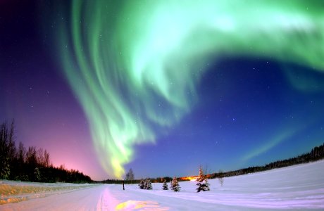 Aurora Borealis, the colored lights seen in the skies around the North Pole, the Northern Lights, from Bear Lake, Alaska, Beautiful Christmas Scene, Winter Star Filled Skies, Scenic Nature photo