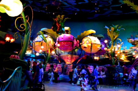 Tokyo DisneySea