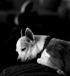 Relaxing with Dad photo