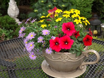 Floral motif decoration flower bed