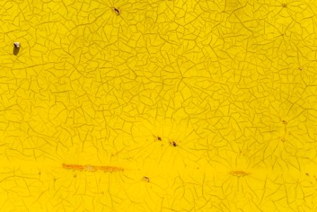 Yellow paint and cracks