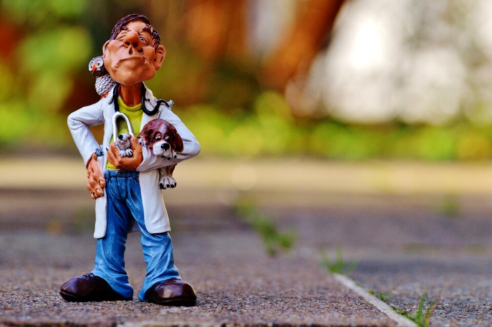 Funny veterinary doctor