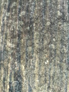 20151114 1617 KE Kwale and surroundings IMG 3965