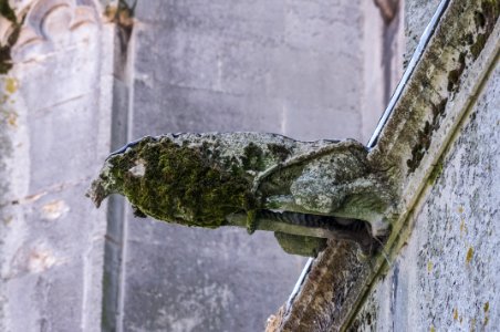 12082018-IMGP3959