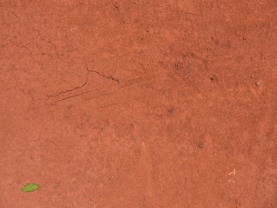 Red sand trails photo