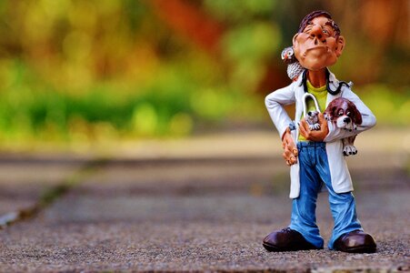 Veterinary doctor help