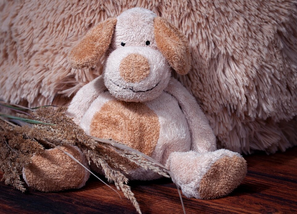 Teddy bear toys cute