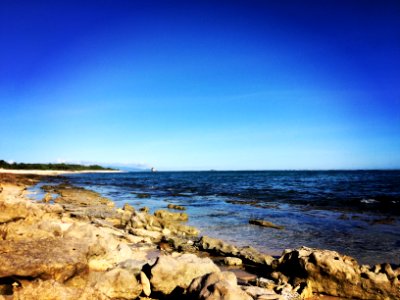 Lucky shoot today. With iPhone camera. Smartphonegraphy